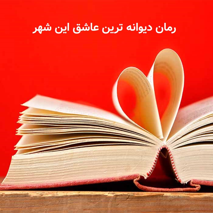 دانلود رمان پی دی اف دیوانه ترین عاشق این شهر از سهیلا محبوب رمان پی دی اف رایگان