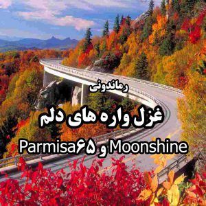 دانلود رمان پی دی اف غزل واره های دلم از Moonshine و Parmisa65 رمان پی دی اف رایگان