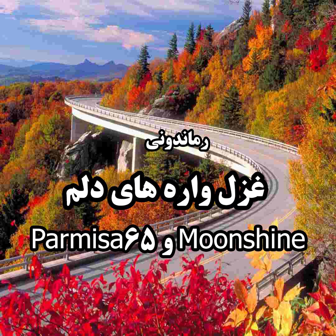 دانلود رمان پی دی اف غزل واره های دلم از Moonshine و Parmisa65 رمان پی دی اف رایگان