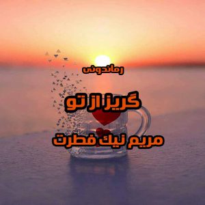 دانلود رمان پی دی اف گریز از تو از مریم نیک فطرت رمان پی دی اف رایگان