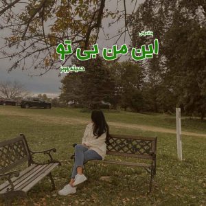 دانلود رمان پی دی اف این من بی تو از حدیثه ورمز رمان پی دی اف رایگان