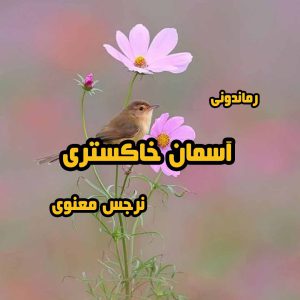 دانلود رمان پی دی اف آسمان خاکستری از نرجس معنوی رمان پی دی اف رایگان