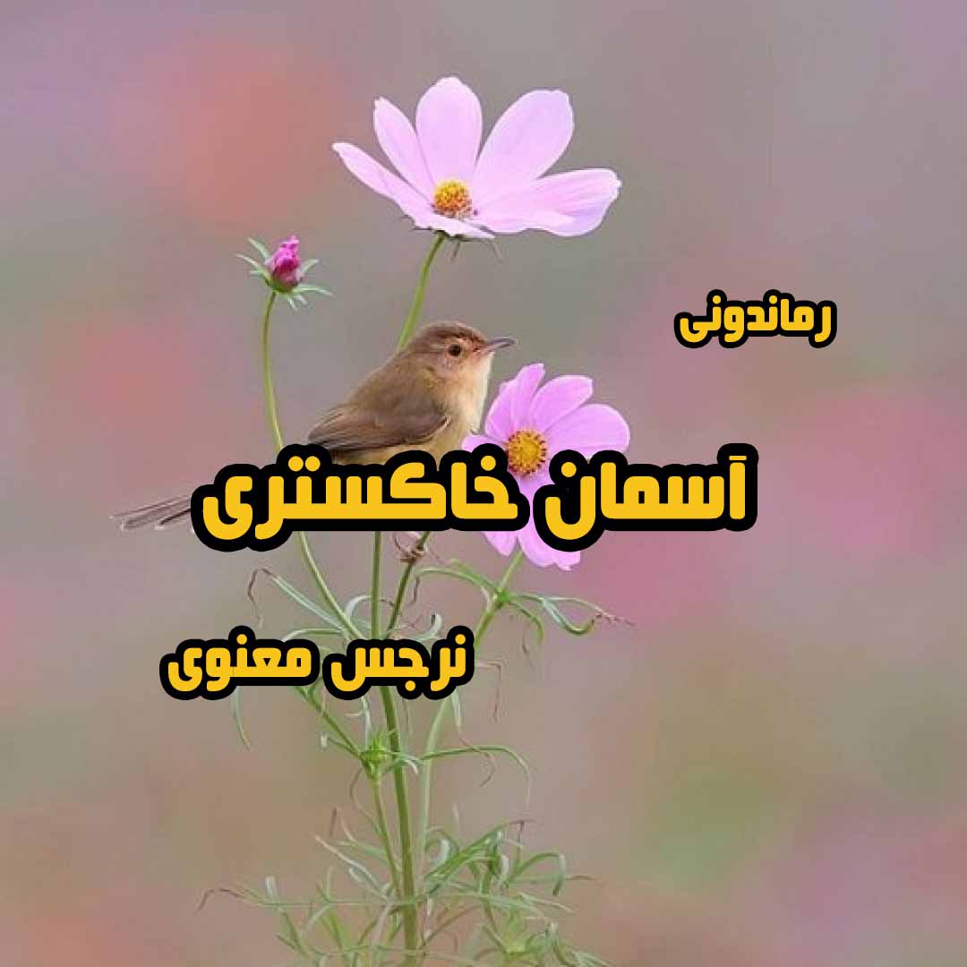 دانلود رمان پی دی اف آسمان خاکستری از نرجس معنوی رمان پی دی اف رایگان