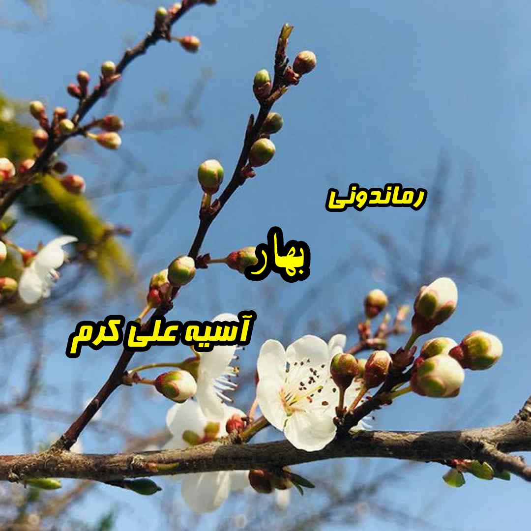 دانلود رمان پی دی اف بهار از آسیه علی‌ کرم رمان پی دی اف رایگان