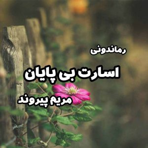 دانلود رمان پی دی اف اسارت بی پایان از مریم پیروند رمان پی دی اف رایگان