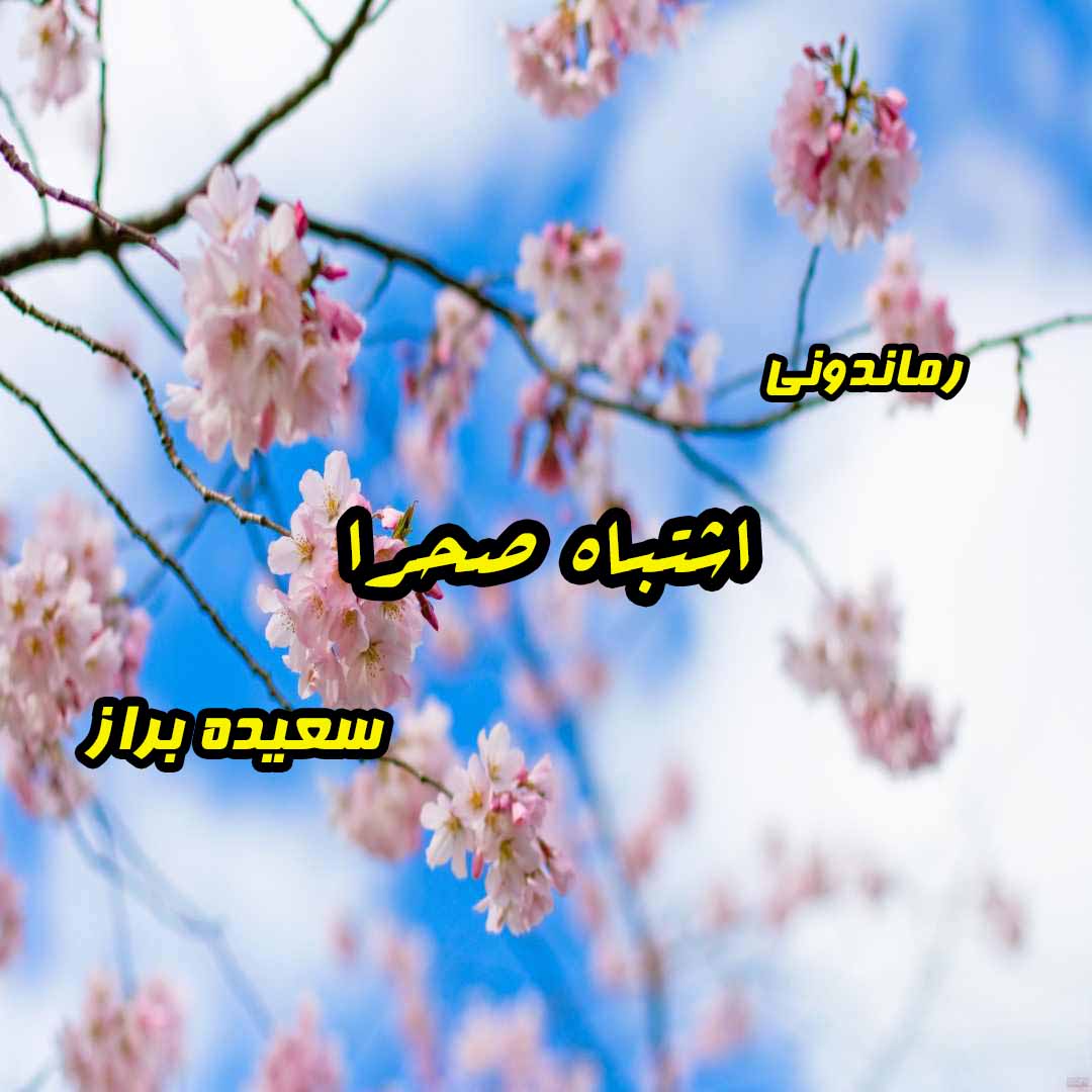 دانلود رمان پی دی اف اشتباه صحرا از سعیده‌ براز