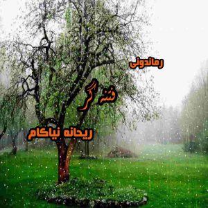 دانلود رمان پی دی اف فتنه گر از ریحانه نیاکام رمان پی دی اف رایگان