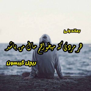 دانلود رمان پی دی اف هر مردی که میخواهم مال من باشد از ریچل گیبسون رمان پی دی اف رایگان