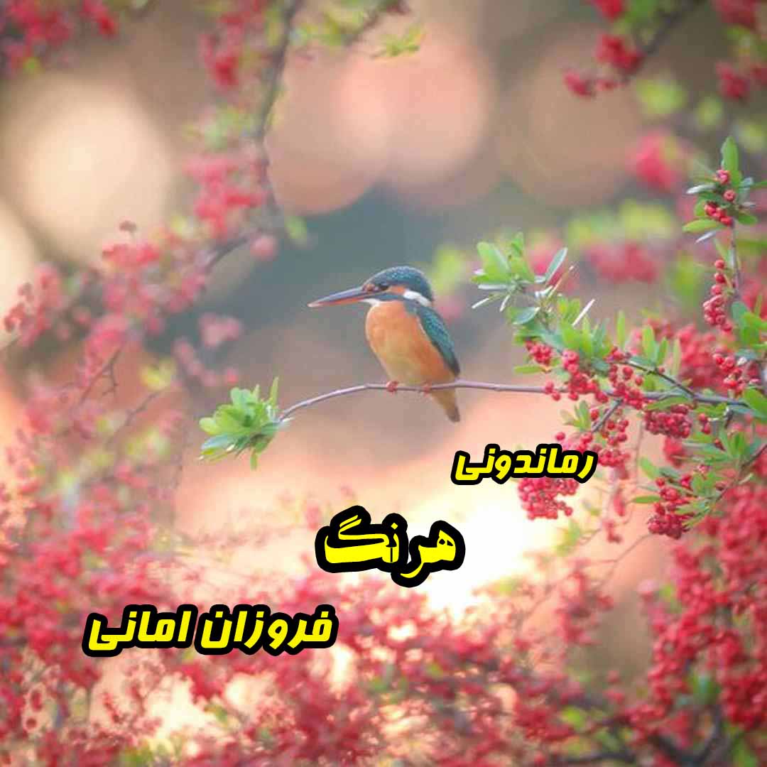 دانلود رمان پی دی اف هرنگ از فروزان امانی رمان پی دی اف رایگان دانلود رمان پی دی اف هرنگ از فروزان امانی رمان پی دی اف رایگان