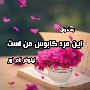 دانلود رمان پی دی اف این مرد کابوس من است از نیلوفر نام آور رمان پی دی اف رایگان