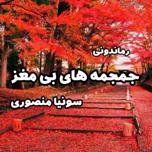 دانلود رمان پی دی اف جمجمه های بی مغز از سونیا منصوری رمان پی دی اف رایگان