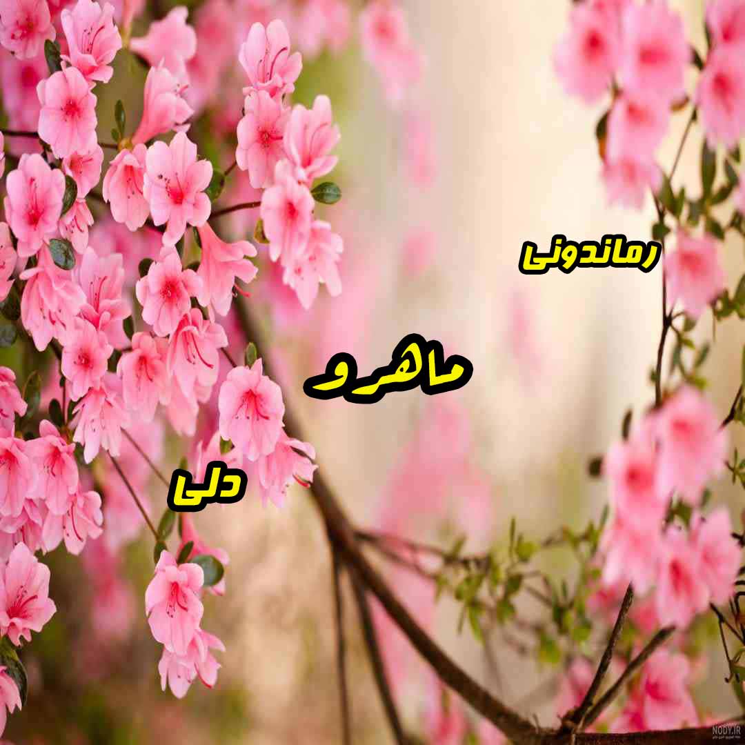 دانلود رمان پی دی اف ماهرو از دلی رمان پی دی اف رایگان