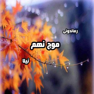 دانلود رمان پی دی اف موج نهم از نیلا رمان پی دی اف رایگان