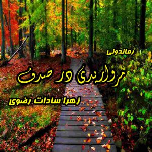 دانلود رمان پی دی اف مرواریدی در صدف از زهرا سادات رضوی رمان پی دی اف رایگان