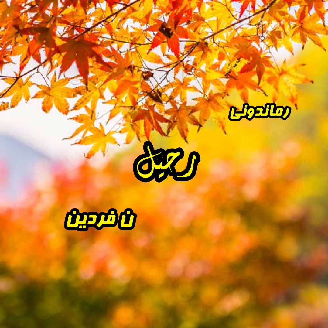 دانلود رمان پی دی اف رحیل از ن فردین فر رمان پی دی اف رایگان