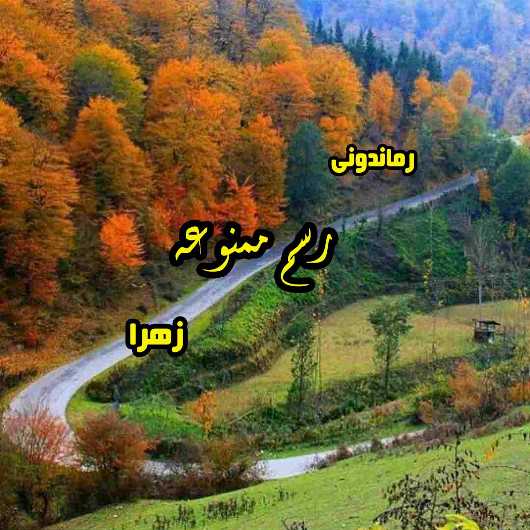 دانلود رمان پی دی اف رسم ممنوعه از زهرا رمان پی دی اف رایگان