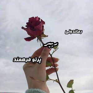 دانلود رمان پی دی اف ریپر از پرتو فرهمند رمان پی دی اف رایگان