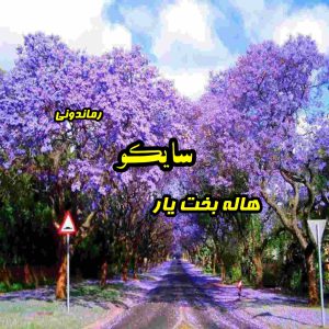 دانلود رمان پی دی اف سایکو از هاله بخت یار رمان پی دی اف رایگان