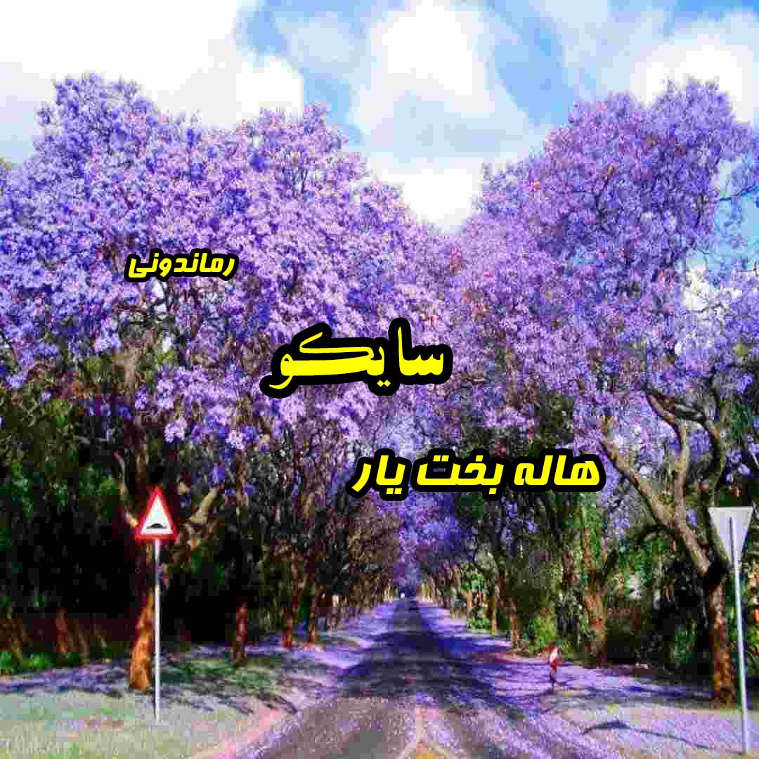 دانلود رمان پی دی اف سایکو از هاله بخت یار رمان پی دی اف رایگان