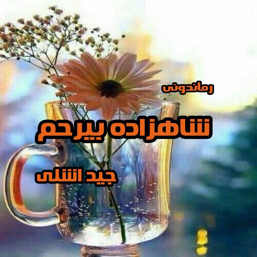 دانلود رمان پی دی اف شاهزاده بیرحم از جید اشلی رمان پی دی اف رایگان