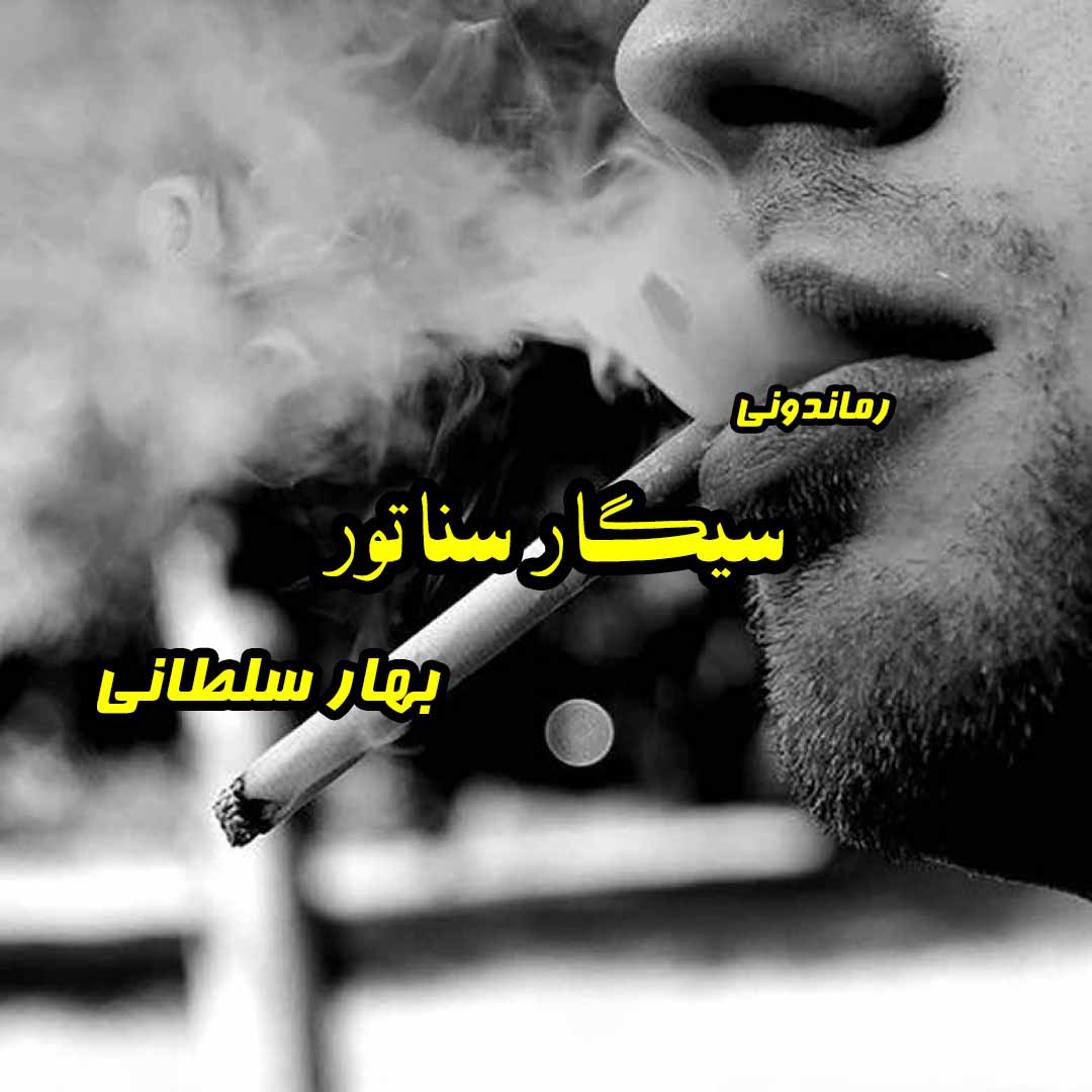 دانلود رمان پی دی اف سیگار سناتور از بهار سلطانی رمان پی دی اف رایگان