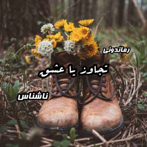 دانلود رمان پی دی اف تجاوز یا عشق از ناشناس رمان پی دی اف رایگان