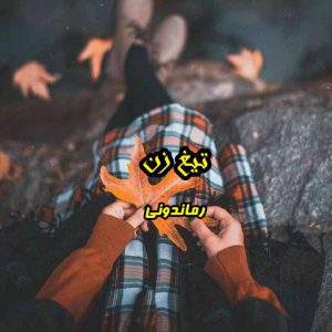 دانلود رمان پی دی اف تیغ زن رمان پی دی اف رایگان