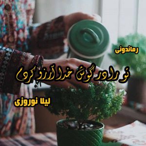 دانلود رمان پی دی اف تو را در گوش خدا آرزو کردم از لیلا نوروزی رمان پی دی اف رایگان