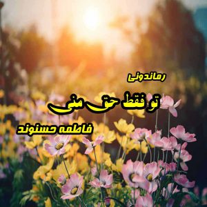 دانلود رمان پی دی اف تو فقط حق منی از فاطمه حسنوند رمان پی دی اف رایگان