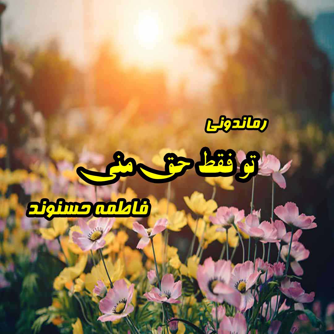 دانلود رمان پی دی اف تو فقط حق منی از فاطمه حسنوند رمان پی دی اف رایگان