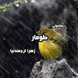 دانلود رمان پی دی اف طومار از زهرا ارجمندنیا رمان پی دی اف رایگان