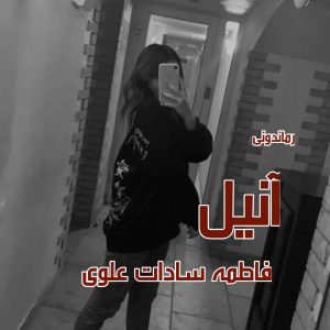 دانلود رمان پی دی اف آنیل از فاطمه سادات علوی رمان پی دی اف رایگان
