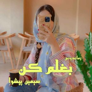 دانلود رمان پی دی اف بغلم کن از سیمین پیشوا رمان پی دی اف رایگان