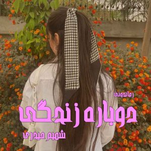 دانلود رمان پی دی اف دوباره زندگی از شمیم حیدری رمان پی دی اف رایگان