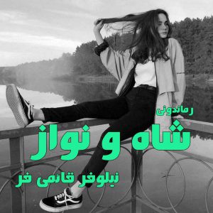 دانلود رمان پی دی اف شاه و نواز از نیلوفر قائمی فر