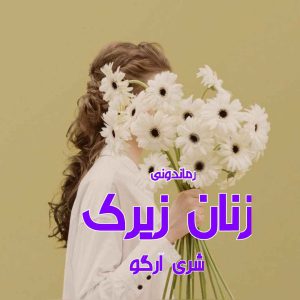 دانلود رمان پی دی اف زنان زیرک از شری آرگو رمان پی دی اف رایگان