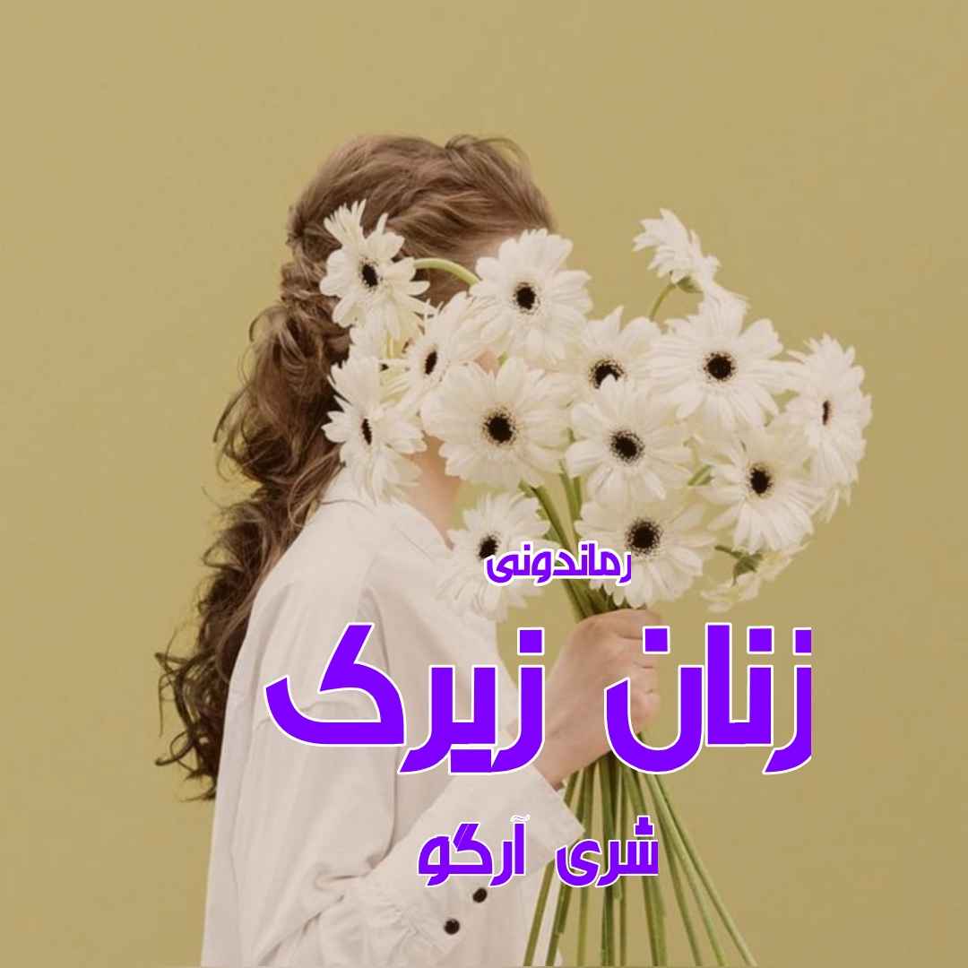 دانلود رمان پی دی اف زنان زیرک از شری آرگو رمان پی دی اف رایگان