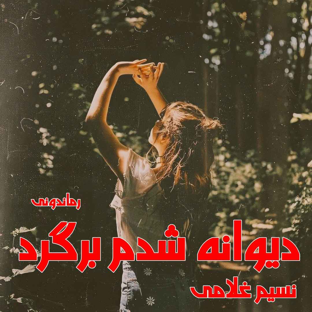 دانلود رمان پی دی اف دیوانه شدم برگرد (دو جلدی) از نسیم غلامی رمان پی دی اف رایگان