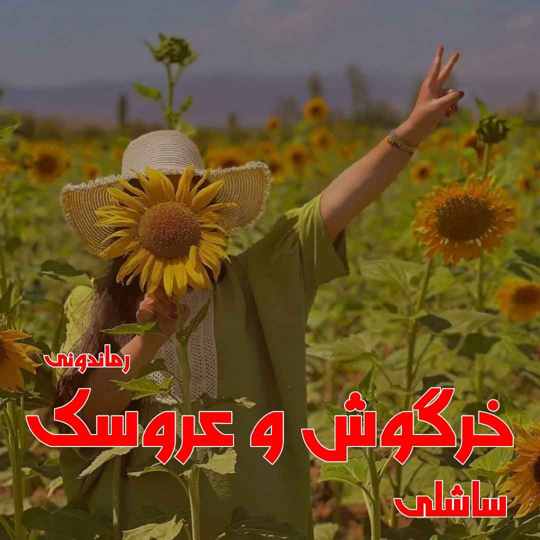 دانلود رمان پی دی اف خرگوش و عروسک از ساشلی رمان پی دی اف رایگان