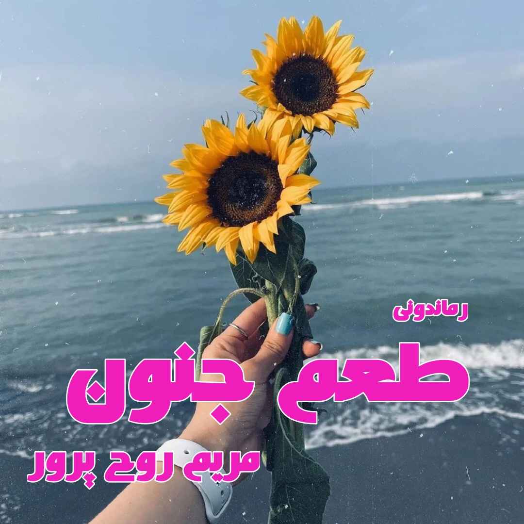 دانلود رمان پی دی اف طعم جنون از مریم روح پرور رمان پی دی اف رایگان