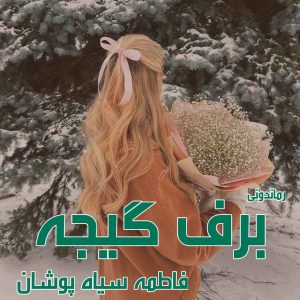 دانلود رمان پی دی اف برف گیجه از فاطمه سیاه‌ پوشان رمان پی دی اف رایگان