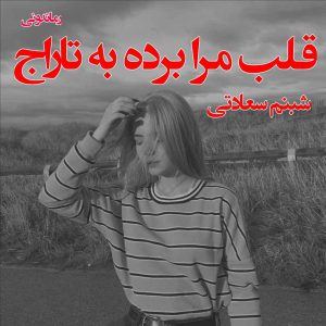 دانلود رمان پی دی اف قلب مرا برده به تاراج از شبنم سعادتی رمان پی دی اف رایگان