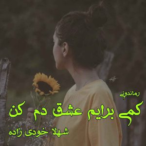 دانلود رمان پی دی اف کمی برایم عشق دم کن از شهلا خودی زاده رمان پی دی اف رایگان