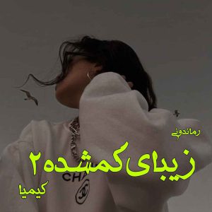 دانلود رمان پی دی اف زیبای گمشده (جلد دوم) مترجم کیمیا  رمان پی دی اف رایگان