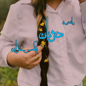 دانلود رمان پی دی اف دژبان از گیسو خزان رمان پی دی اف رایگان