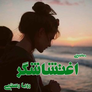 دانلود رمان پی دی اف اغتشاشگر از رویا رستمی رمان پی دی اف رایگان