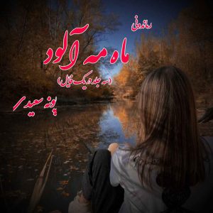 دانلود رمان پی دی اف ماه مه آلود از پونه سعیدی رمان پی دی اف رایگان