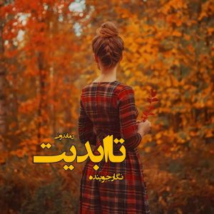 دانلود رمان پی دی اف تا ابدیت از نگار جوینده رمان پی دی اف رایگان