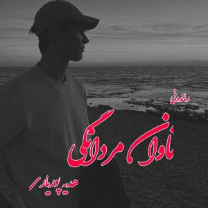 دانلود رمان پی دی اف تاوان مردانگی از هدیه پوریاری رمان پی دی اف رایگان