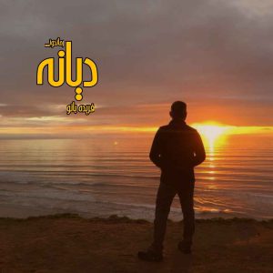 دانلود رمان پی دی اف دیانه از فریده بانو رمان پی دی اف رایگان